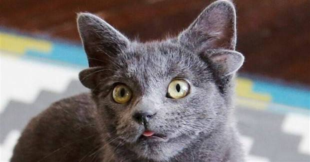 Klyker Picdump #1230 (54 photos)