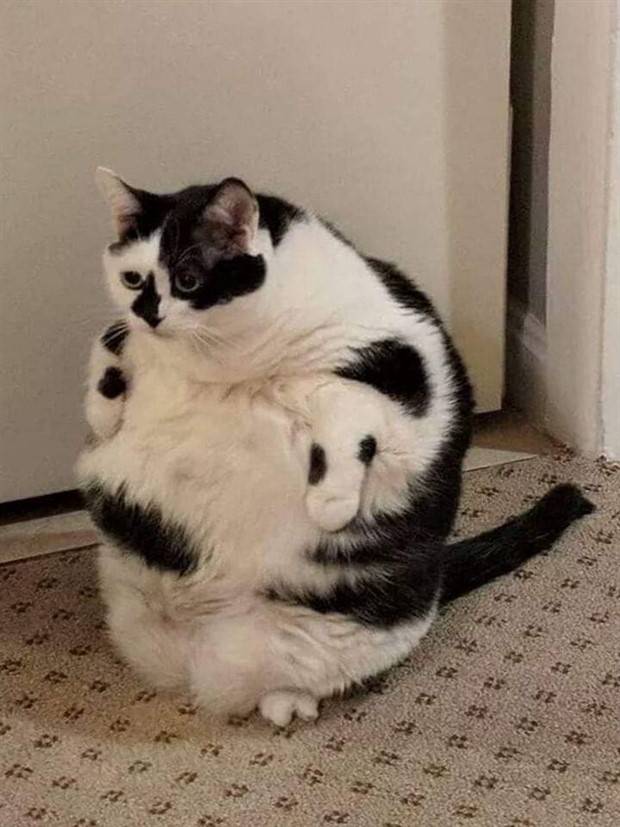 Klyker Picdump #1230 (54 photos)