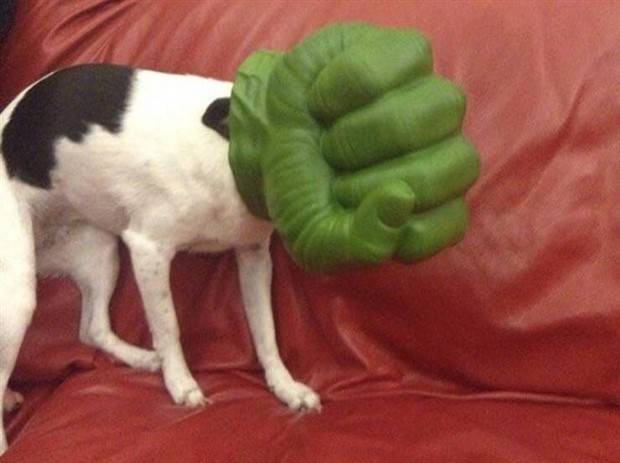 Klyker Picdump #1231 (55 photos)