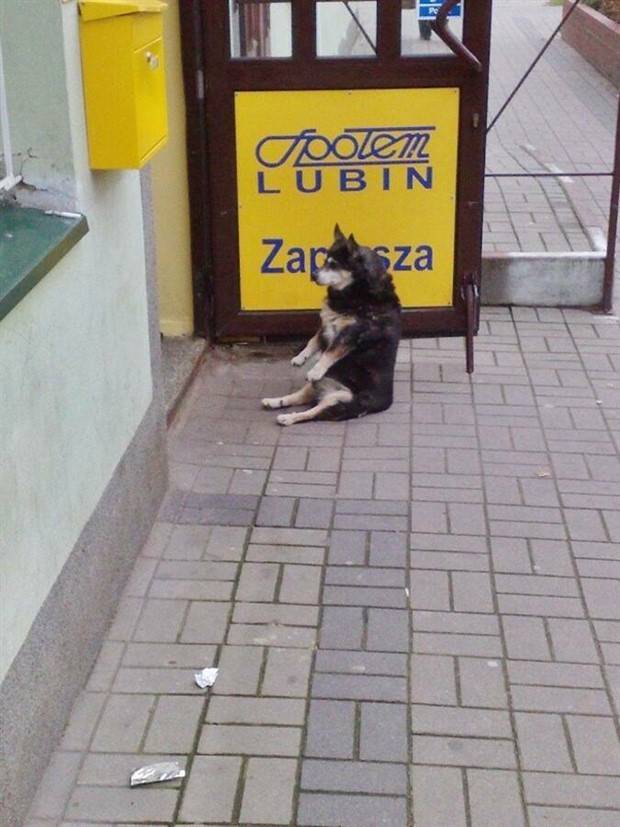 Klyker Picdump #1231 (55 photos)