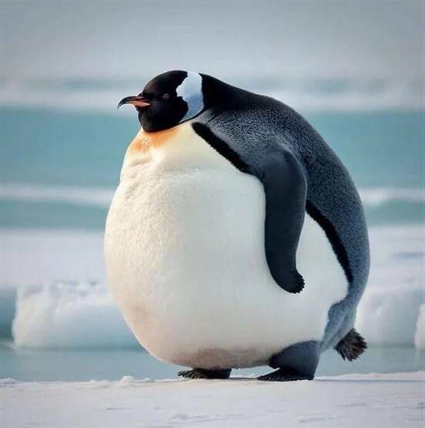 Klyker Picdump #1231 (55 photos)