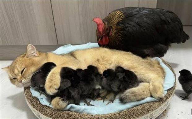 Klyker Picdump #1231 (55 photos)