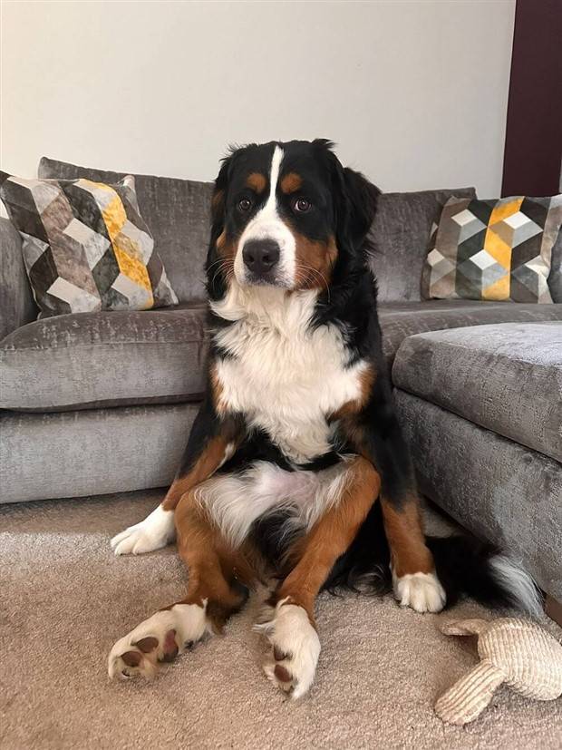 Klyker Picdump #1232 (51 photos)