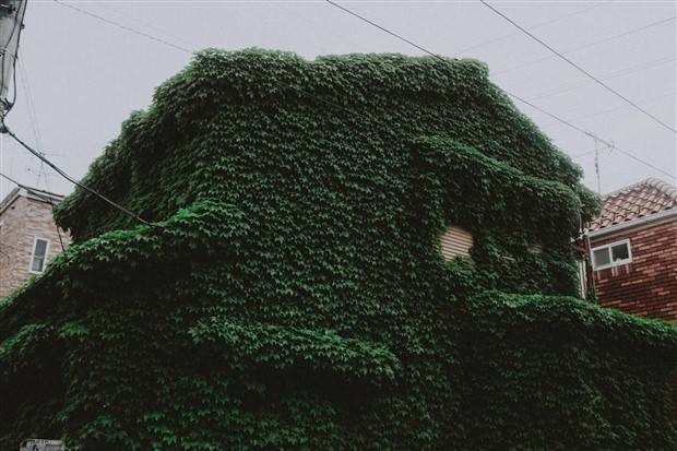 Klyker Picdump #1232 (51 photos)