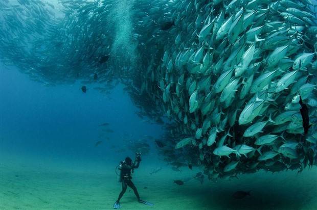 Klyker Picdump #1232 (51 photos)