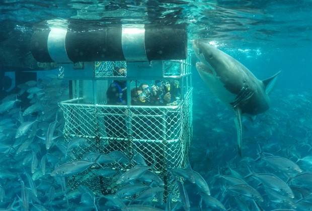 Klyker Picdump #1233 (52 photos)