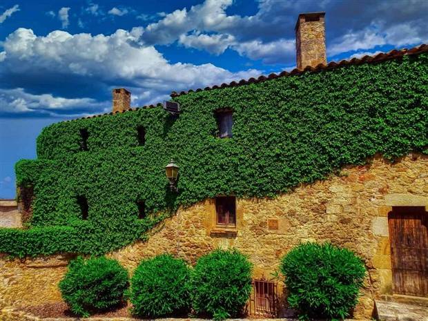 Klyker Picdump #1233 (52 photos)