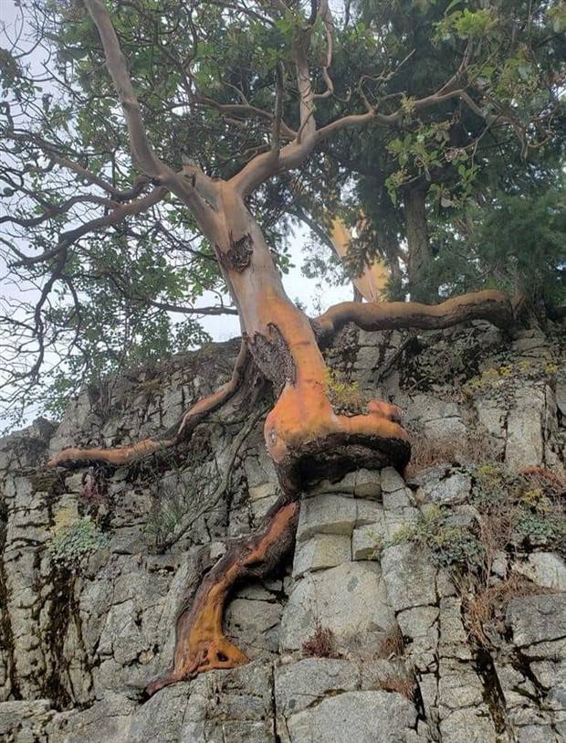 Klyker Picdump #1233 (52 photos)