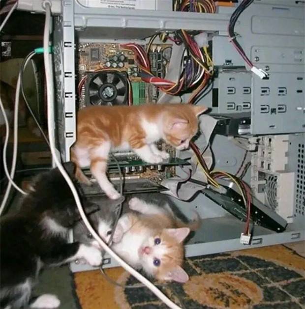 Klyker Picdump #1233 (52 photos)