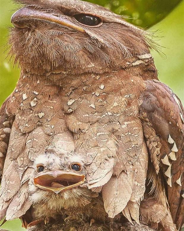 Klyker Picdump #1233 (52 photos)