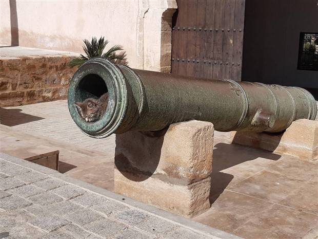 Klyker Picdump #1234 (53 photos)