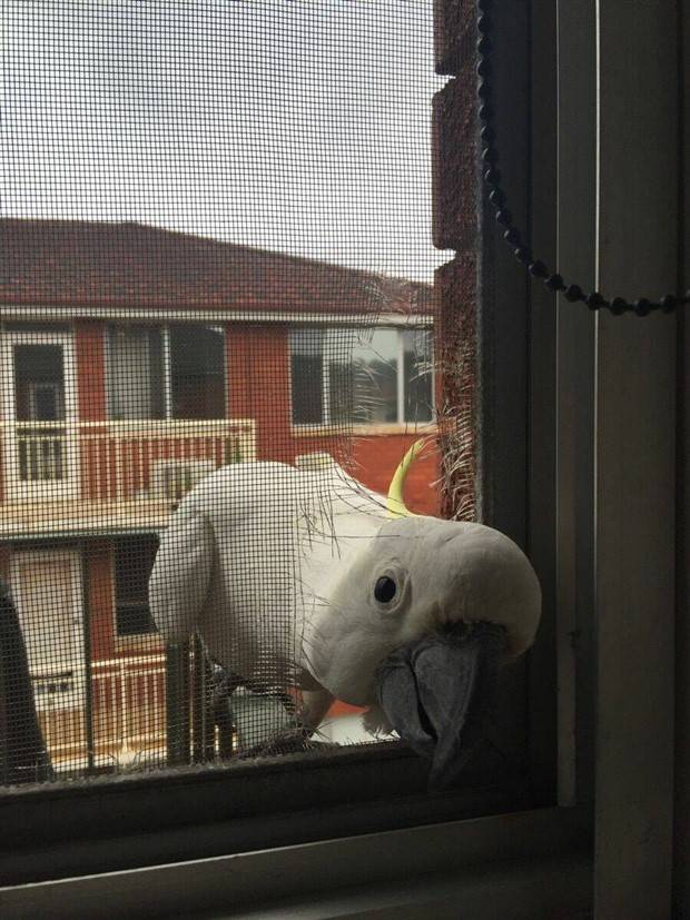 Klyker Picdump #1234 (53 photos)