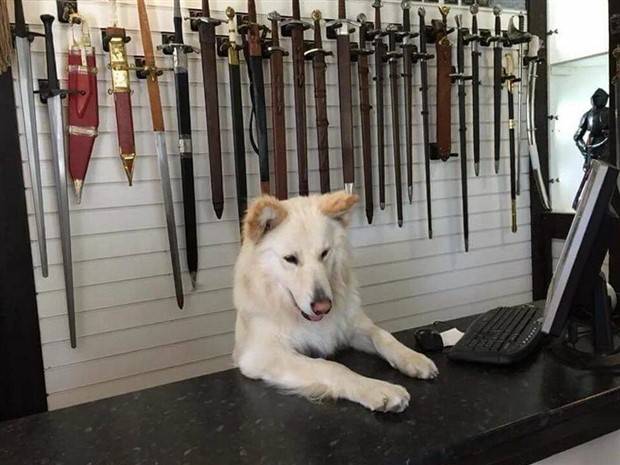 Klyker Picdump #1234 (53 photos)