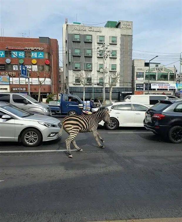 Klyker Picdump #1234 (53 photos)