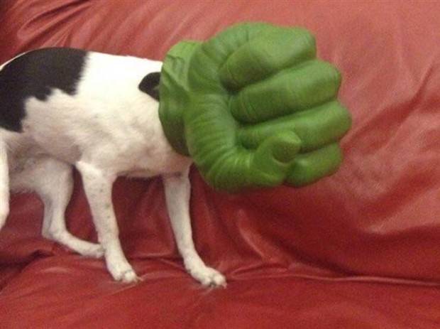 Klyker Picdump #1234 (53 photos)