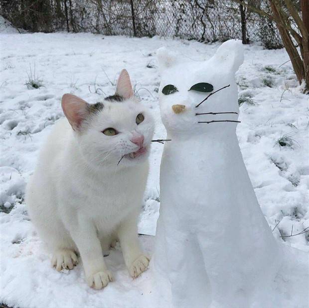 Klyker Picdump #1234 (53 photos)