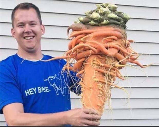 Klyker Picdump #1234 (53 photos)