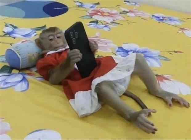 Klyker Picdump #1234 (53 photos)