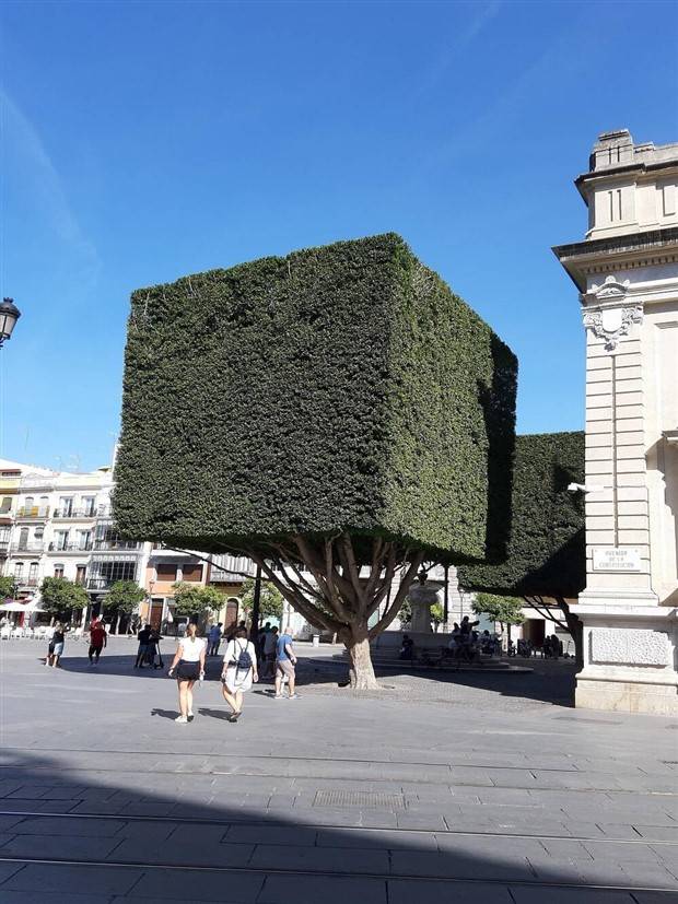 Klyker Picdump #1234 (53 photos)