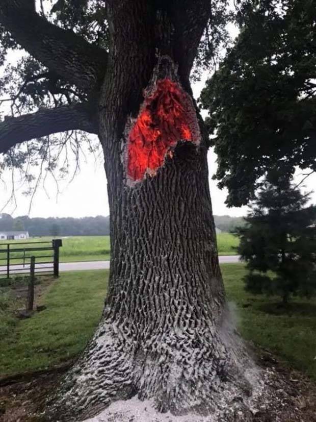lightning strikes aftermath 18 When Lightning Strikes (24 photos)