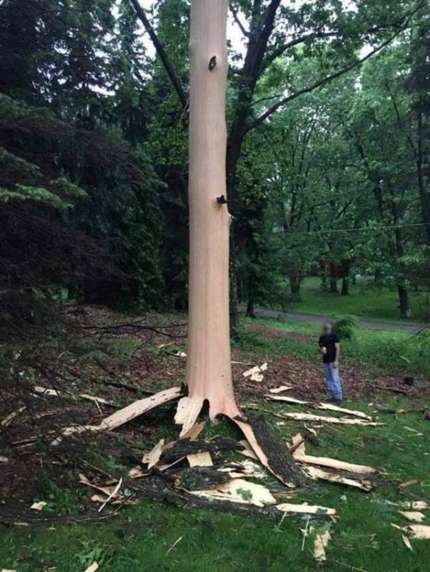 lightning strikes aftermath 20 When Lightning Strikes (24 photos)