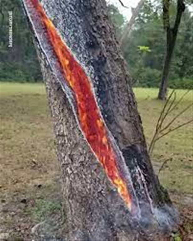 lightning strikes aftermath 22 When Lightning Strikes (24 photos)