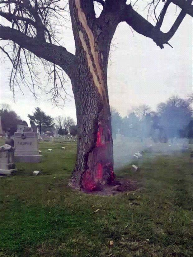 lightning strikes aftermath 4 When Lightning Strikes (24 photos)