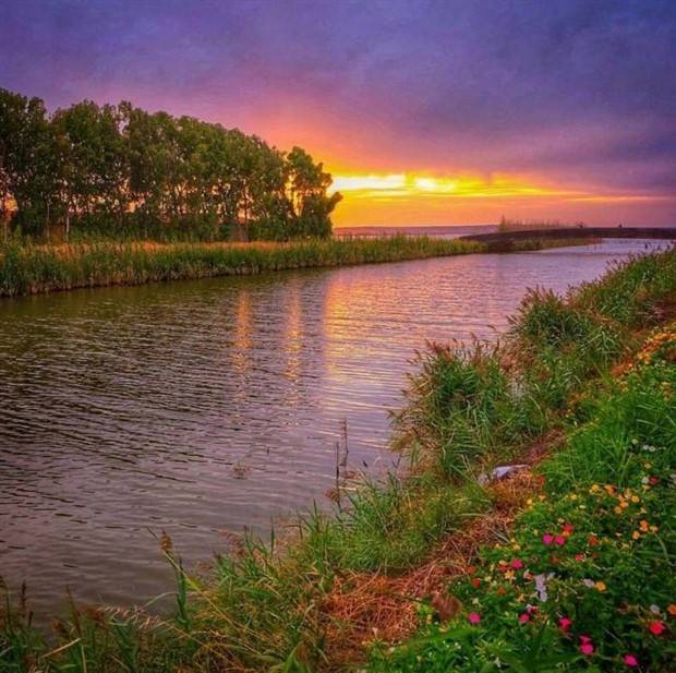 Enchanting Sunsets: Serenity in Golden Hues (20 photos)