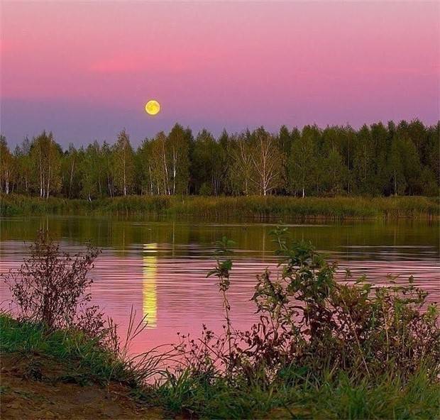 Enchanting Sunsets: Serenity in Golden Hues (20 photos)