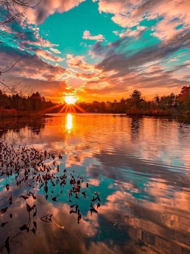 Enchanting Sunsets: Serenity in Golden Hues (20 photos)