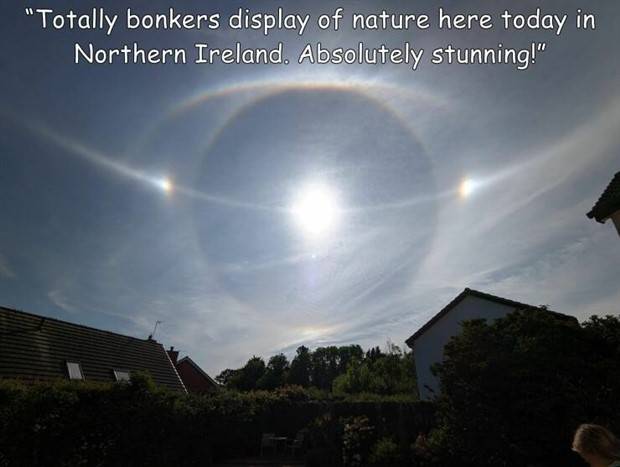 Interesting Pictures With Captions #55 (42 photos)