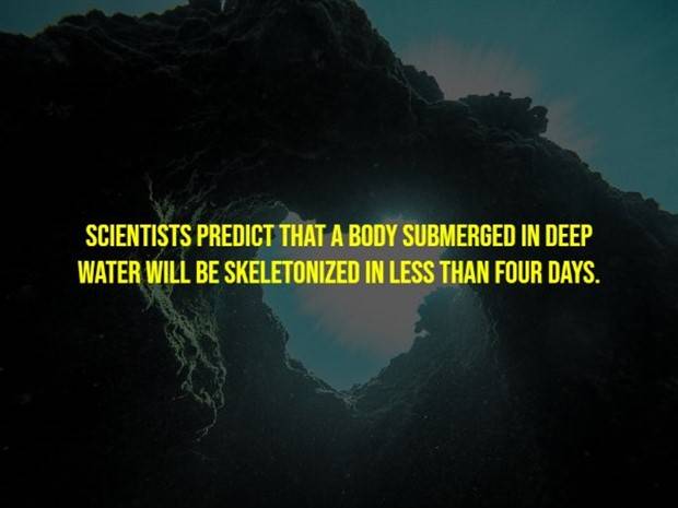 Creepy Facts Are Back #9 (33 photos)