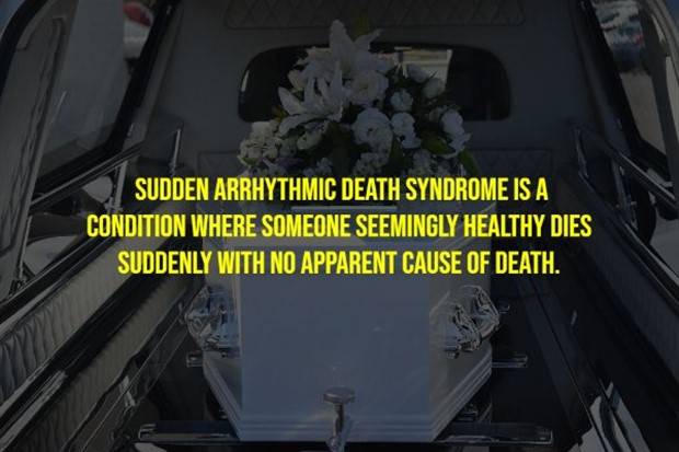 Creepy Facts Are Back #9 (33 photos)