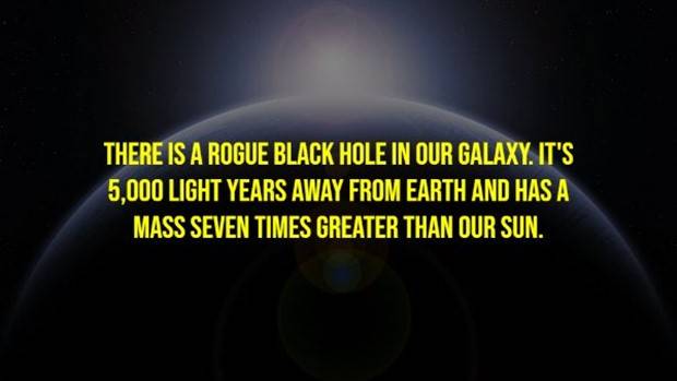 Creepy Facts Are Back #9 (33 photos)