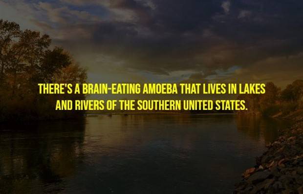 Creepy Facts Are Back #9 (33 photos)