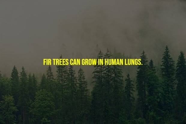 Creepy Facts Are Back #9 (33 photos)