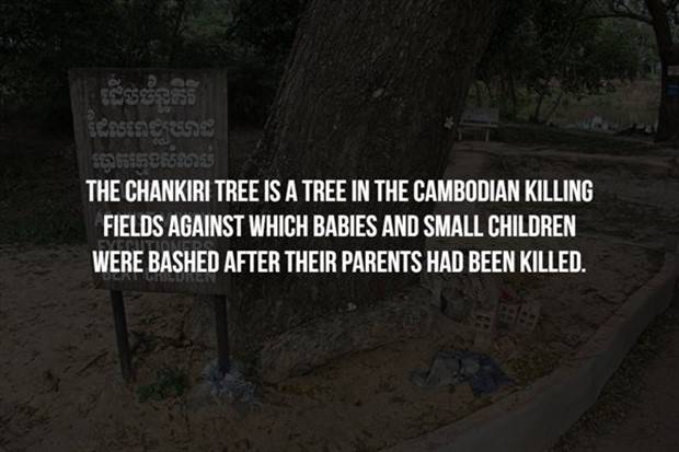 Creepy Facts Are Back #9 (33 photos)