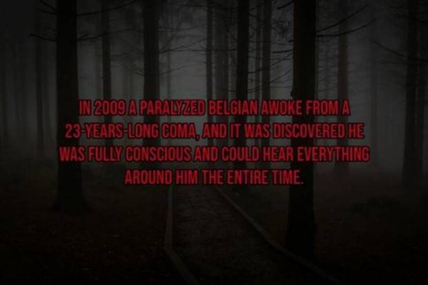 Creepy Facts Are Back #9 (33 photos)