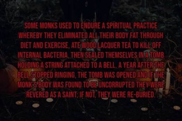 Creepy Facts Are Back #9 (33 photos)