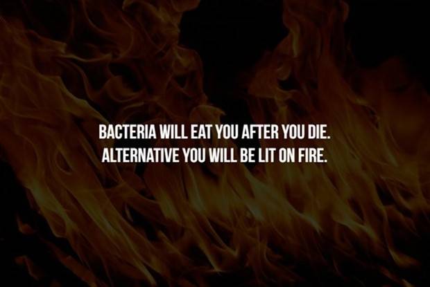 Creepy Facts Are Back #9 (33 photos)