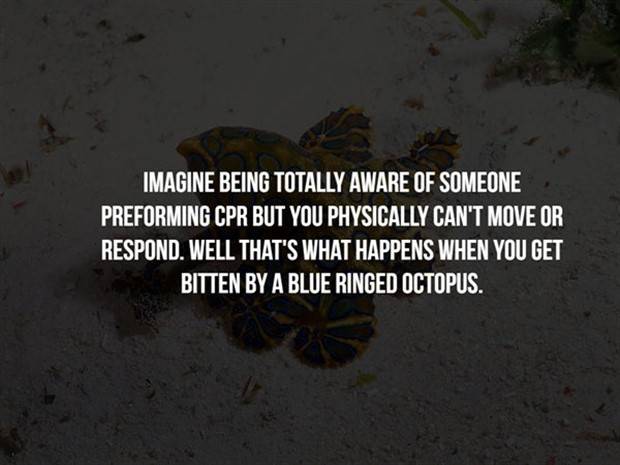 Creepy Facts Are Back #9 (33 photos)