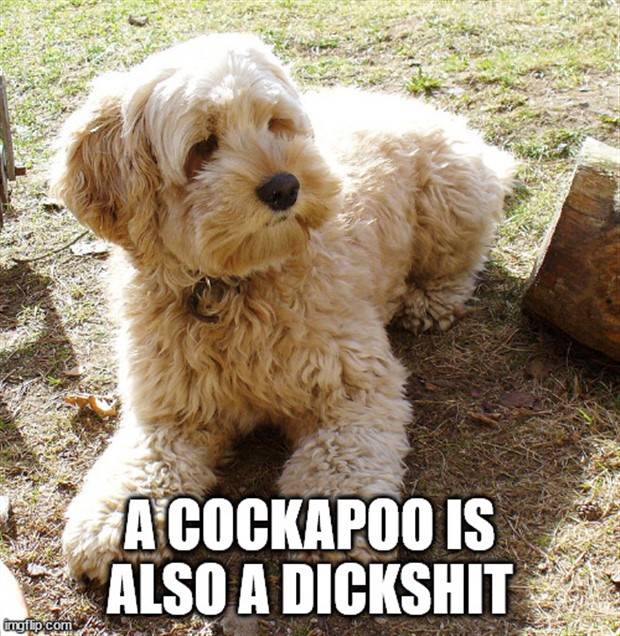 Funny Shower Thoughts #56 (35 photos)