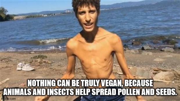 Funny Shower Thoughts #56 (35 photos)