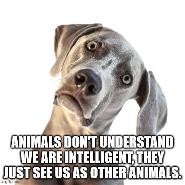 Funny Shower Thoughts #56 (35 photos)