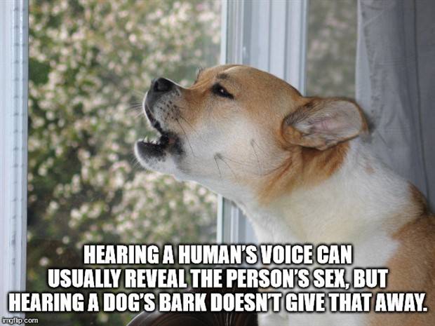 Funny Shower Thoughts #56 (35 photos)