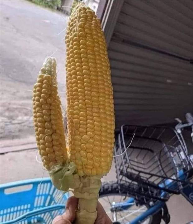 test your dirty mind 16 Put Your Dirty Mind To The Test #81 (39 photos)