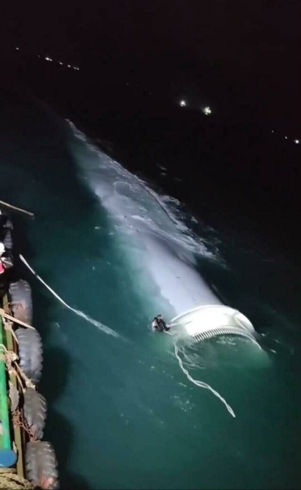 27 Photos Better Avoided If You Suffer from Thalassophobia