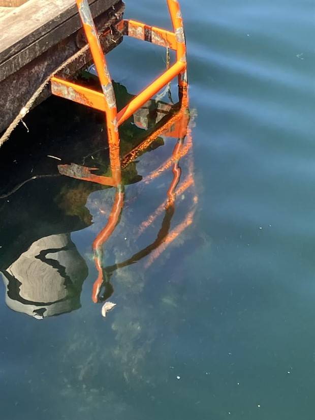 27 Photos Better Avoided If You Suffer from Thalassophobia