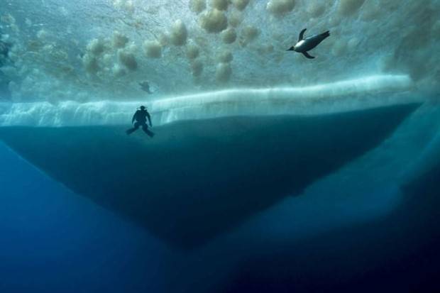 27 Photos Better Avoided If You Suffer from Thalassophobia