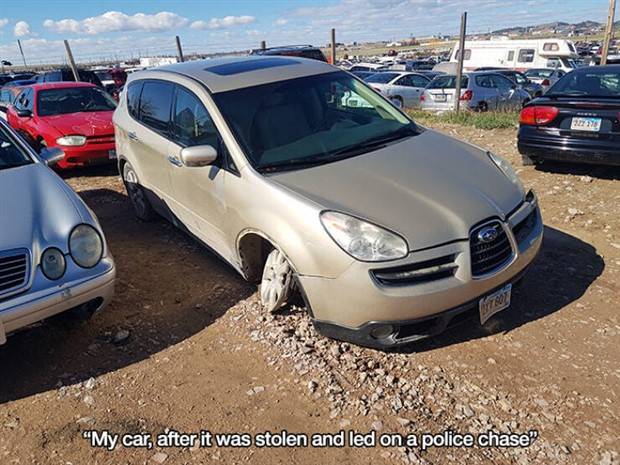 Shit Happens Regularly, Get Used To It #228 (43 photos)